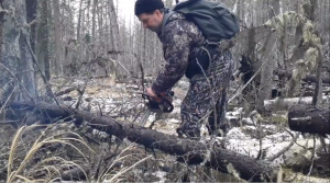 Старый лабаз с избушкой. Трудовые будни на участке. 6 серия