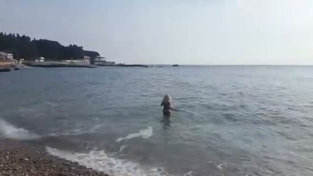 WhatsApp Video 2019 01 19 at 12 24 17 смотреть онлайн