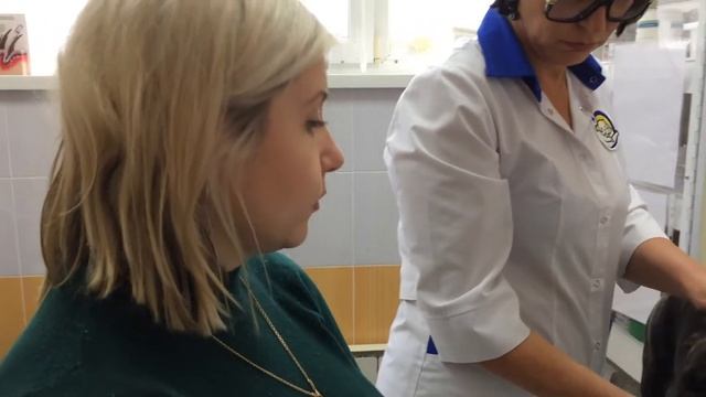 Французский бульдог с затрудненным дыханием [Ветклиника Чулковой] смотреть онлайн