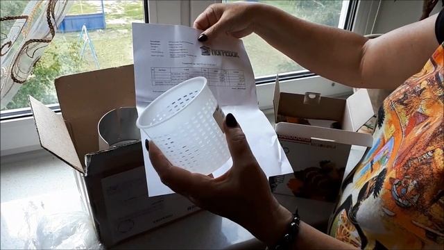 Ветчинница Белобока / Обзор посылки смотреть онлайн