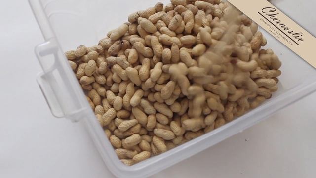 Готовка в Кемпинге и на Походах