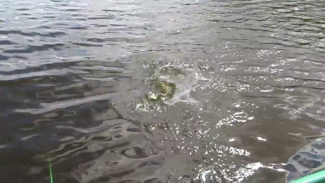 Monster fishing. Часть 1. смотреть онлайн