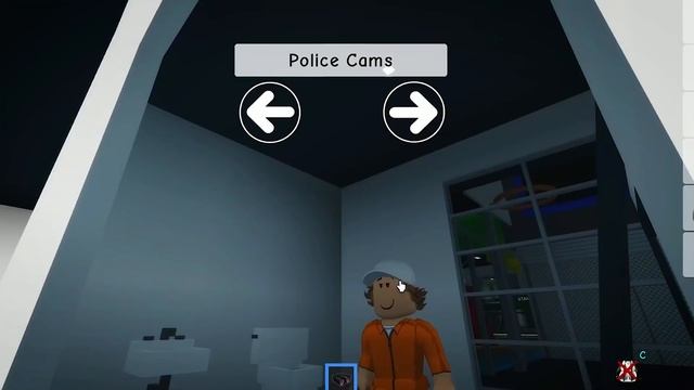 How to be INVISIBLE HACKS in BROOKHAVEN смотреть онлайн