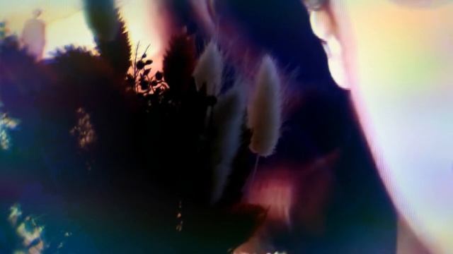 МОЙ — АВГУСТ!/ОДОСТИШИЕ 8-му месяцу ГОДА!!! смотреть онлайн