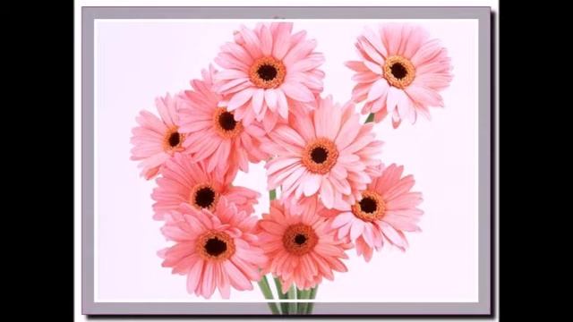 Юля. Ирина Снегова. Читаю я. смотреть онлайн