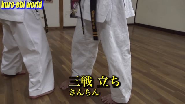 【50 minutes】Let's try "Okinawa Gojyu-ryu Karate" with Subtitles in 26 Languages! смотреть онлайн