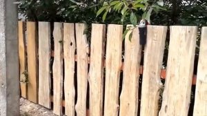 красивый декоративный деревянный забор с необрезной доски