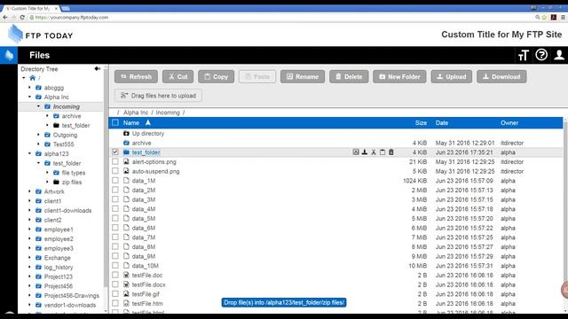 FTP Today - How to Move and Copy Files смотреть онлайн