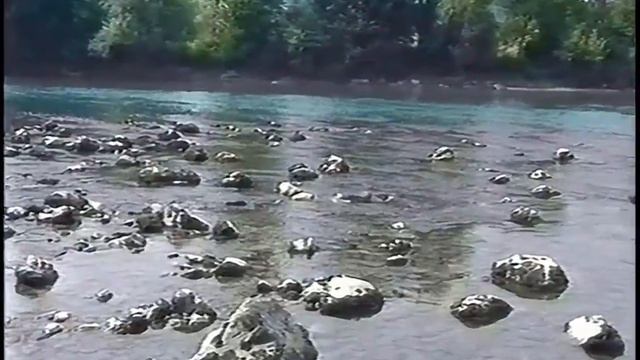 Lepi Mića - Teci Drino, teci! [TrueHD] смотреть онлайн
