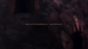 🔴 МУЗЫКА ИЗ ФИЛЬМА БРАТ (1997)  ► PLAY