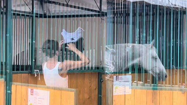 RECORD ? ФЕСТИВАЛЬ НАЦИОНАЛЬНЫХ ПОРОД ЛОШАДЕЙ 2023 | ЦЕНТР КОННЫХ НАЦИОНАЛЬНЫХ ТРАДИЦИЙ ВДНХ