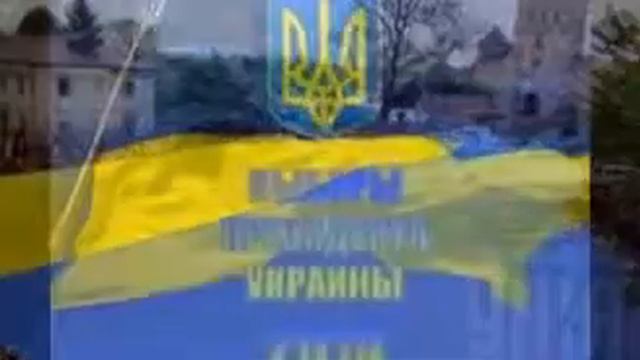 ЦИК Украины: второго тура президентских выборов не будет смотреть онлайн
