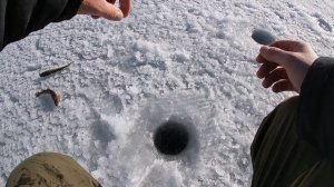 ЗИМНЯЯ РЫБАЛКА / КАК ЛОВИТЬ НАВАГУ / ВЛАДИВОСТОК   GO PRO 7 WHITE