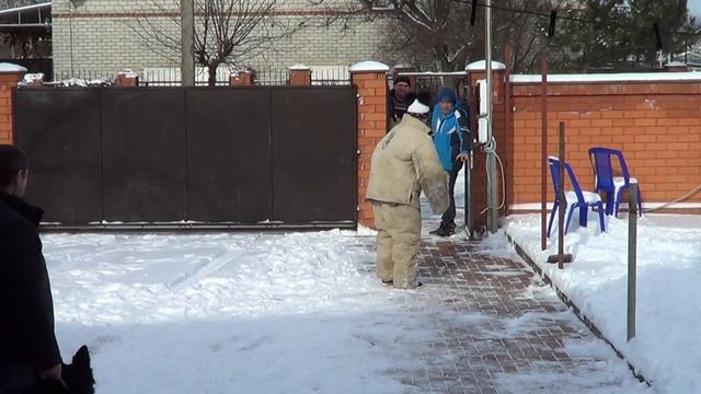 Немецкая овчарка . смотреть онлайн