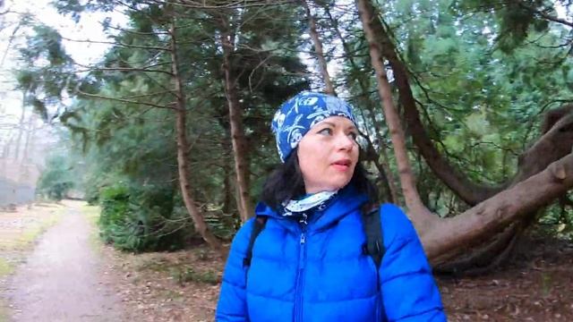 45ка. Нагуляли 17 км. небольшая тренировка перед бегом смотреть онлайн