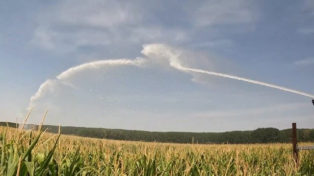 Kukorica öntözés, locsolás, Corn irrigation, sprinkling watering agriculture plough field land смотреть онлайн