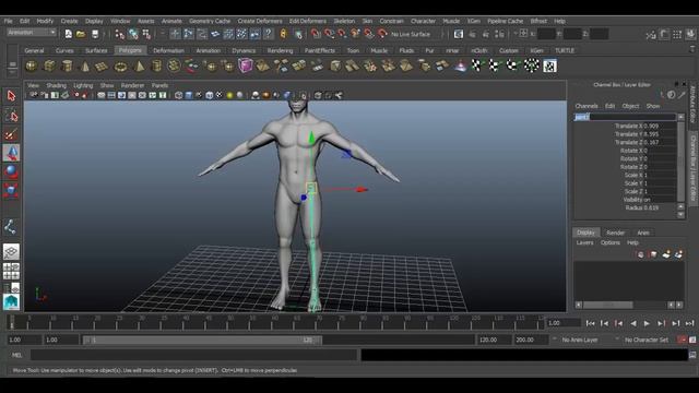 Biped Rig Set up In Maya - Part 01 смотреть онлайн