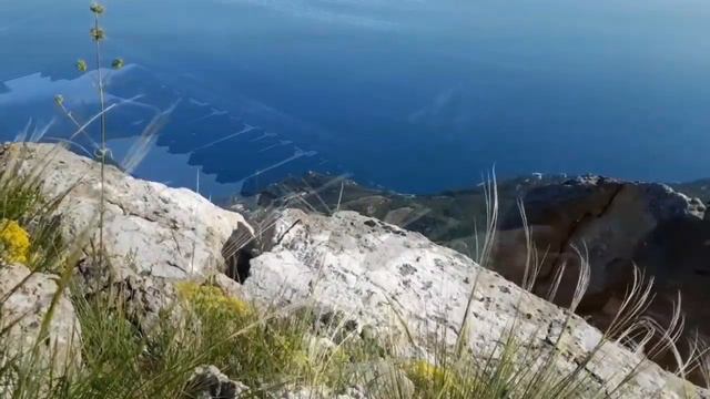 Would Beethoven love this video? Share you opinion! смотреть онлайн