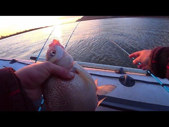 ЧУТЬ НЕ ОСТАЛСЯ С НОЧËВКОЙ! РЫБАЛКА НА ЗАКИДУШКИ ПЕРЕД ЛЕДОСТАВОМ смотреть онлайн