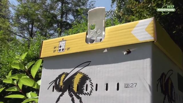 Искусство и Собственная Уникальность