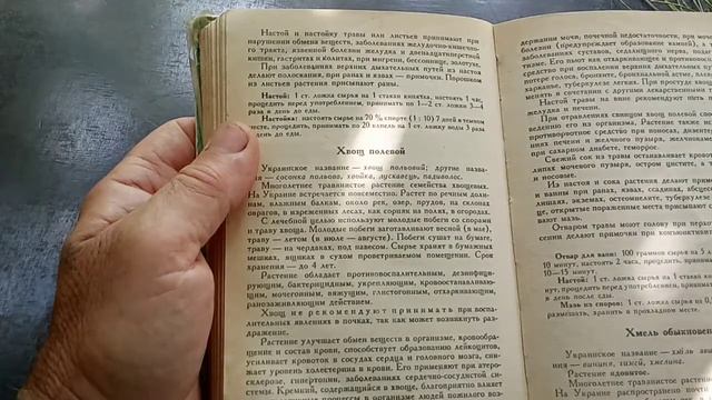 ПОЛЕВОЙ ХВОЩ - ЕЩЁ ОДИН КОМПОНЕНТ СЕРДЕЧНОГО СБОРА!!! смотреть онлайн