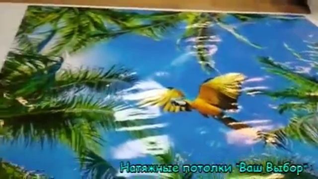 Натяжные потолки "Ваш Выбор" Чебоксары Йошкар-Ола фотопечать смотреть онлайн