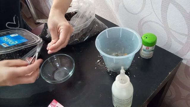 Сажаю эустому 2024. Экспресс методом смотреть онлайн