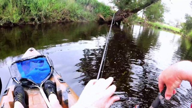 Murray Cod Swimbait Fishing - Vatalion 190 RACING BLACK смотреть онлайн