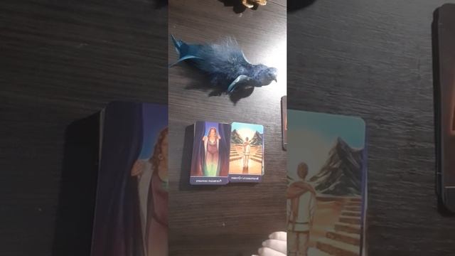 ЭКСТРАСЕНСОРНОЕ ТАРО ДЛЯ СЕРДЦА( Д. Холанда). ОБЗОР. смотреть онлайн