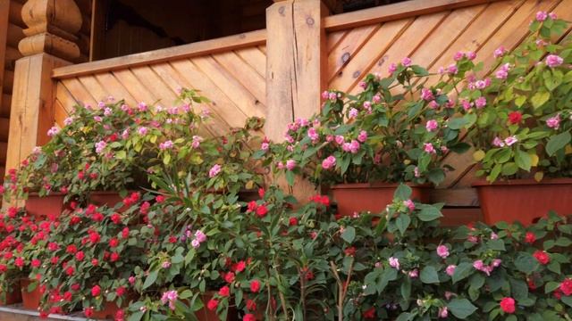 Благоустройство территории Храма Иоанна Воина #зыряновскаяцерковь #ландшафтныйдизайн #новокузнецк