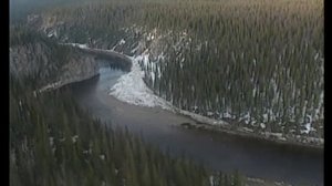 Девственные леса Коми