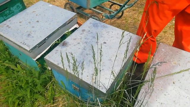 Роение, усиление, расширение пчелосемей смотреть онлайн