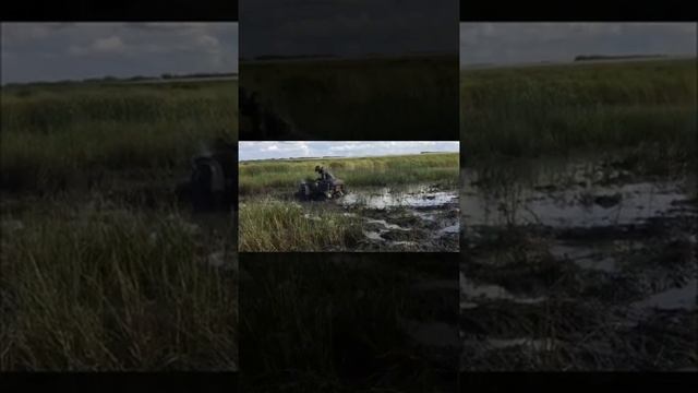 Покатухи 26.08.2018 смотреть онлайн