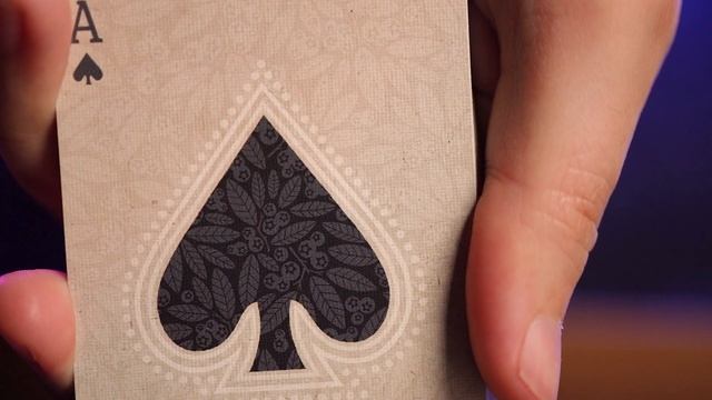 SUPER CHARMING! A Newfoundland Deck of Cards Review смотреть онлайн