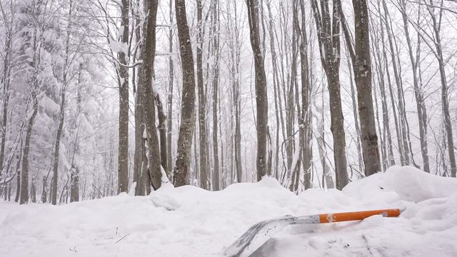 التخييم في الثلج في تركيا ❄️ خيمة بموقد حطب 🔥 . смотреть онлайн
