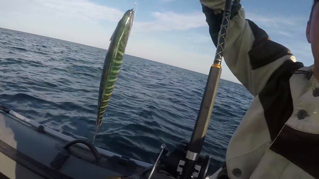 Ловля на Прикормку