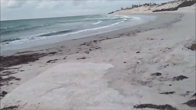 Veteran Sherman at beach. Chased by dog on electric unicycle (EUC) смотреть онлайн