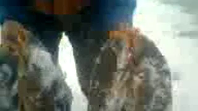 зимний клев карпа смотреть онлайн