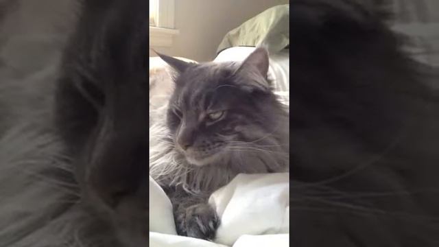 Finn on Bed смотреть онлайн