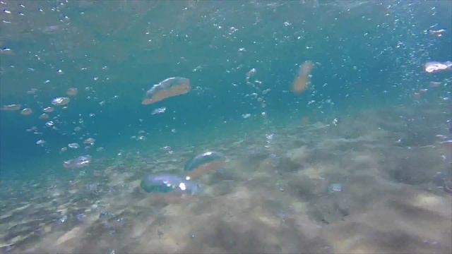 Kos, Paradise Beach, bubbles смотреть онлайн