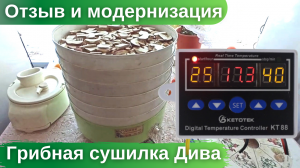 Сушилка для грибов, овощей и фруктов РОТОР ДИВА. ОТЗЫВ и модернизация терморегулятором W88.