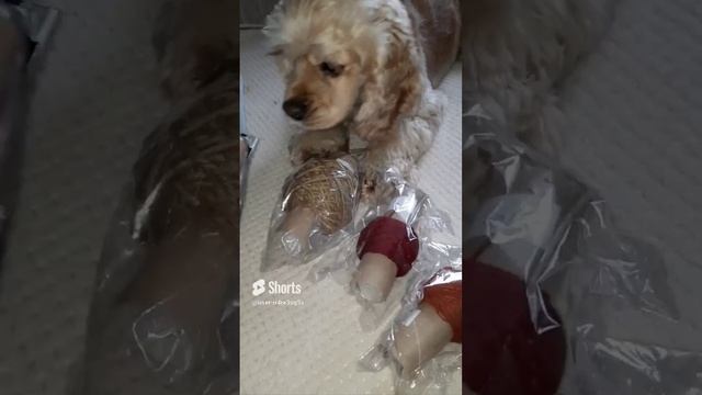 получила образцы пряжи #вязание #вязаниеспицами #узорспицами #knitting #knittingpattern смотреть онлайн