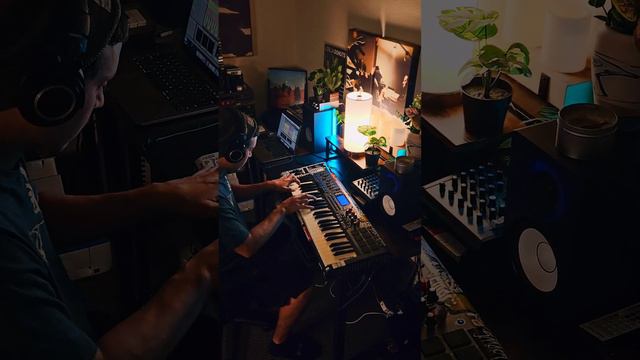 lush little sample #lofi #piano #sample #loop #hiphop #chords #music #vibes #cozy #chill смотреть онлайн
