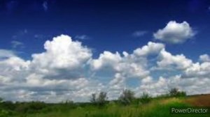 С годами становлюсь мудрей...