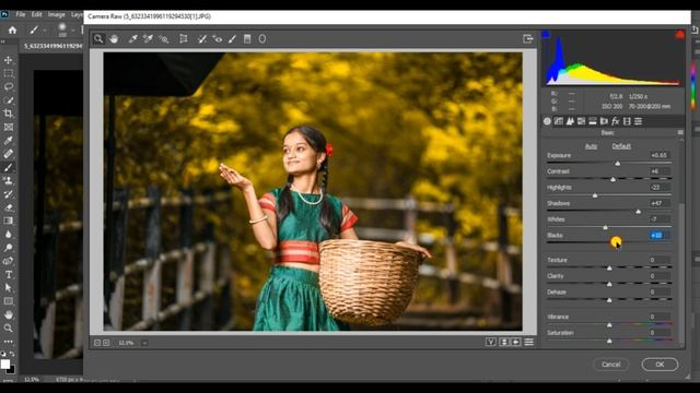 Golden Yellow tone | Photoshop CC | Camera raw filter смотреть онлайн