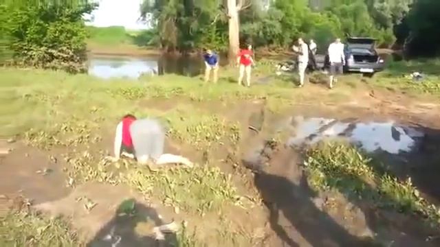 Пьяная женщина не в адекватие на природе смотреть онлайн