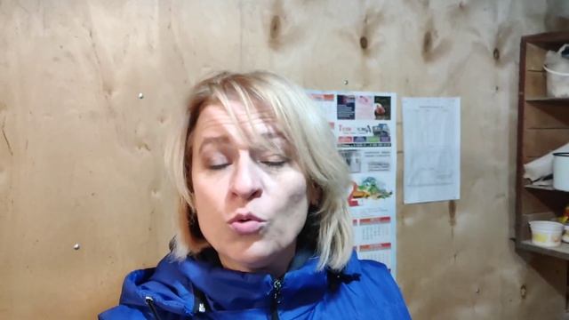 Курица Топчет Других Кур. Почему? смотреть онлайн