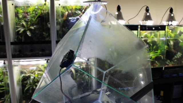 Terrarium Air-circulation For Condensation Removal