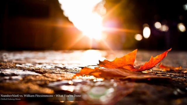 NumberNin6 vs. William Fitzsimmons - What You've Done смотреть онлайн