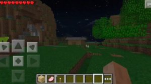 САМЫЙ СТАРЫЙ СЕРВЕР В МАЙНКРАФТ ПЕ!!! Minecraft Pocket Edition / Старый Майнкрафт #1